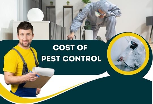 What’s Best for Your Brighton Home?