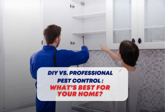 What’s Best for Your Brighton Home?